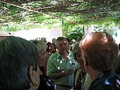 Nimes-2006-009.JPG