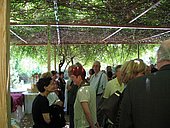 Nimes-2006-018.JPG