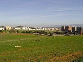 normal_Birtouta-_décembre-2006.jpg