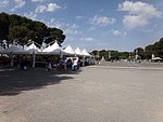 DSC03506-800.jpg