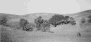 wpe1A.gif (46127 octets)